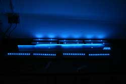 Blue Line